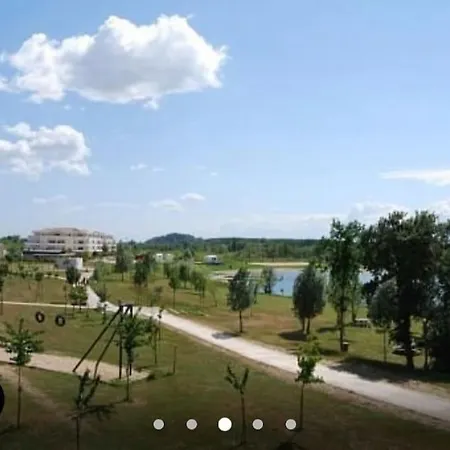 Sur La Des Dagueys * 리부른