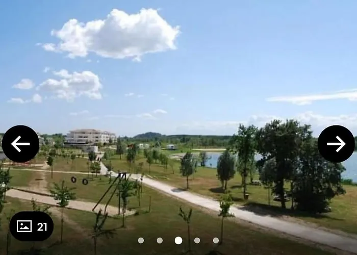 Sur La Des Dagueys * Libourne